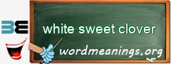 WordMeaning blackboard for white sweet clover